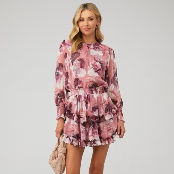 MISA Los Angeles Camila Dress ss XS NWT - Picture 1 of 16